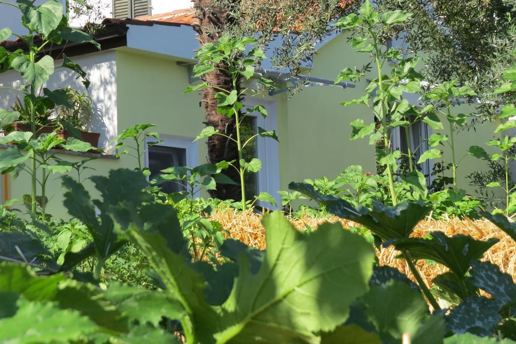 Apartment Casetta Portorož Buitenkant foto
